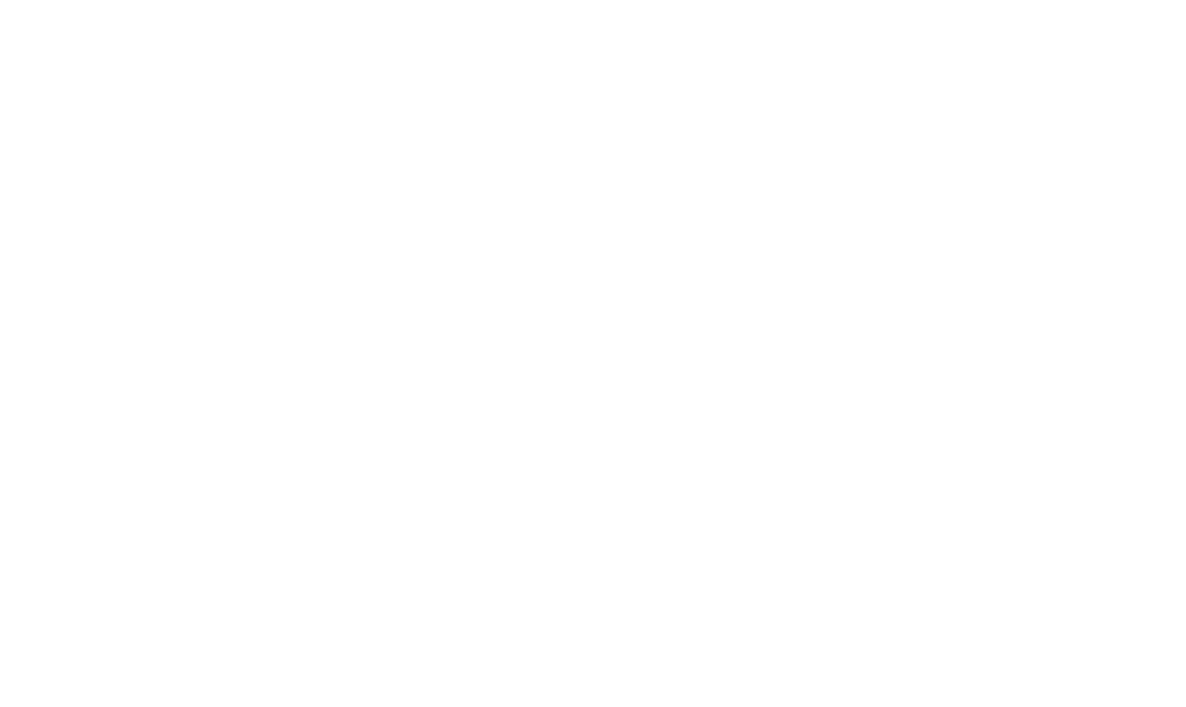Logo blanc Logo Nathalie Hauchard